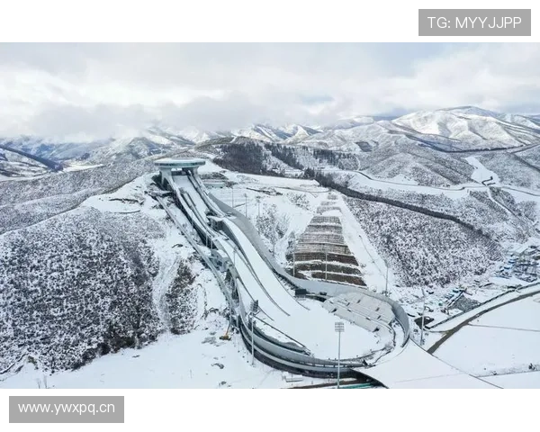 权昶勋近期比赛影响力持续提升，攻防表现稳健